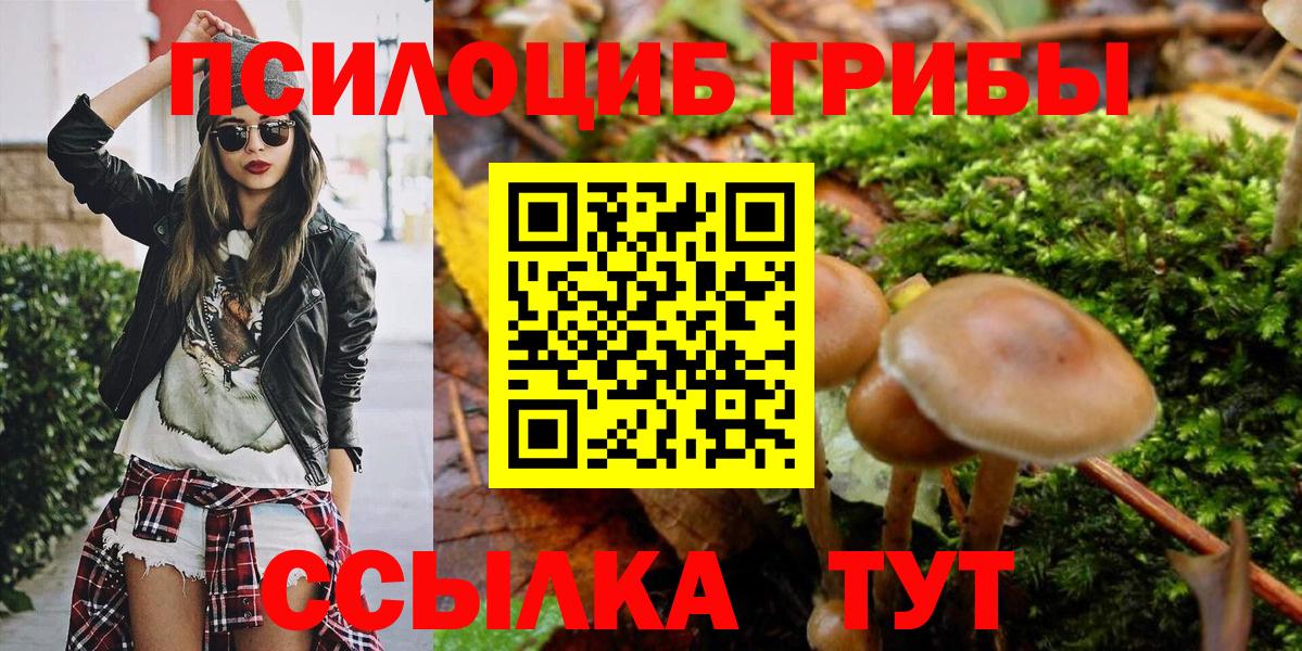 Псилоцибиновые грибы мухоморы  Псилоцибиновые грибы Psilocybine cubensis  купить   Тейково 