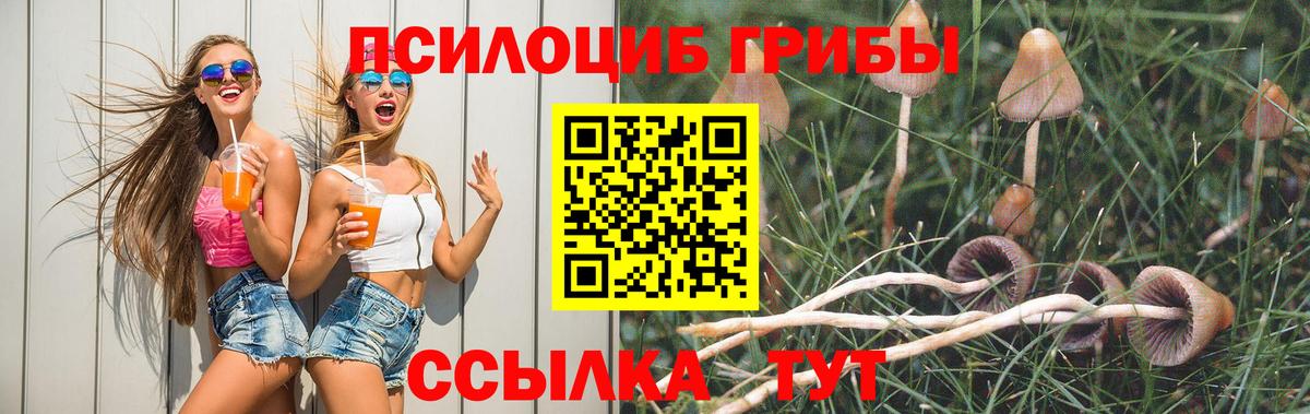 Галлюциногенные грибы мухоморы Тейково