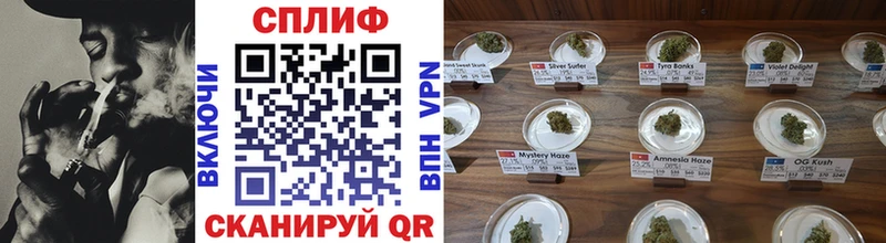Конопля OG Kush  Тейково 